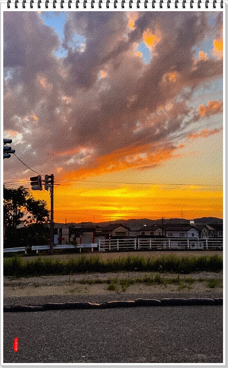 2023年-夕阳风光纪实抓拍集锦-703