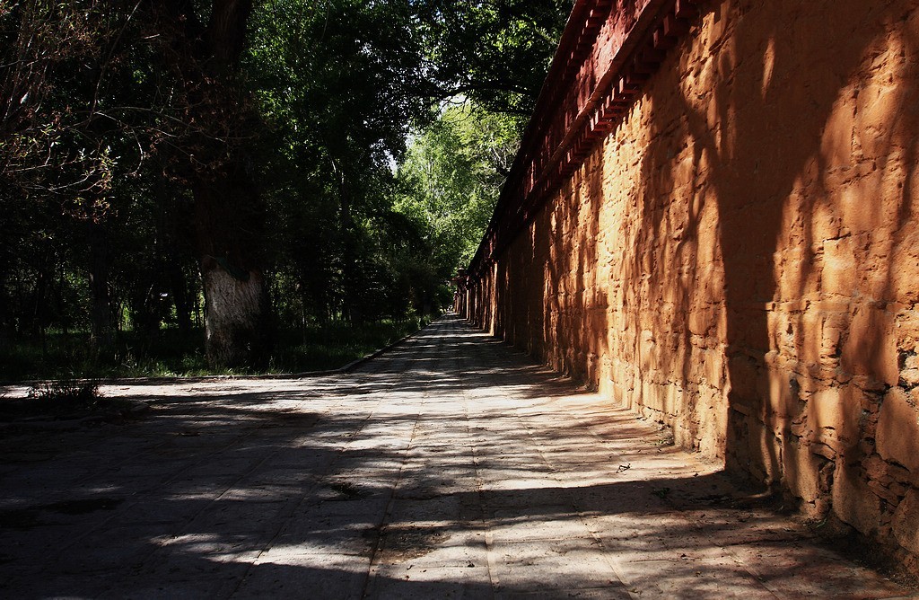 罗布林卡之光影