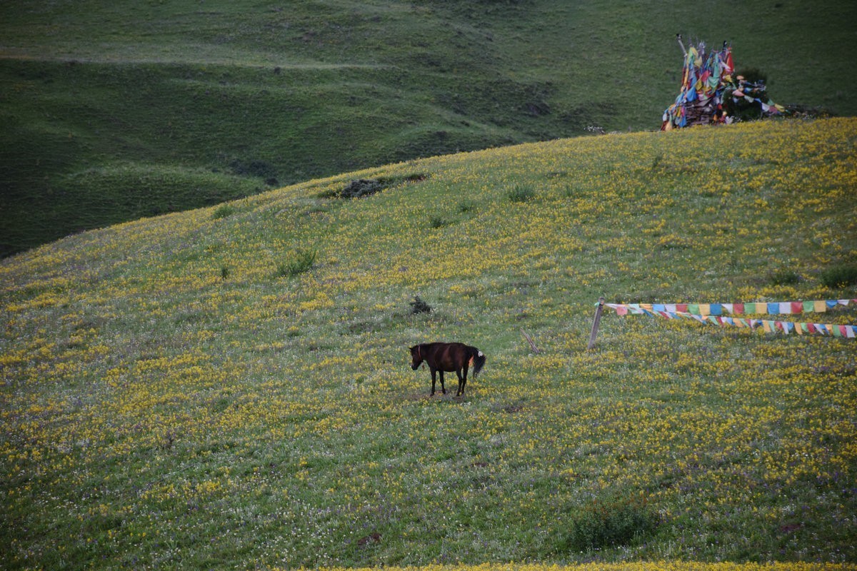 2023夏 黔赣鄂渝川（102）即将消失的川西秘景