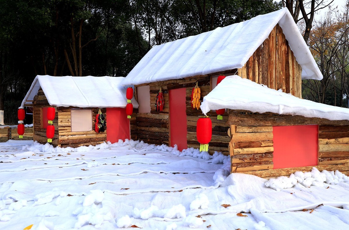 温州南塘彩灯迎春文化节(9)