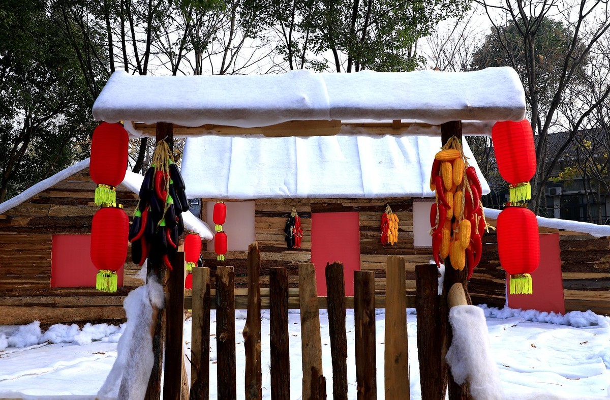 温州南塘彩灯迎春文化节(9)