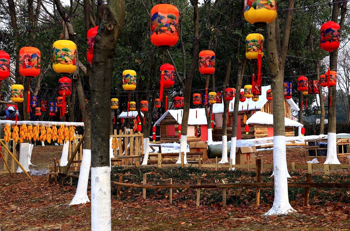 温州南塘彩灯迎春文化节(9)