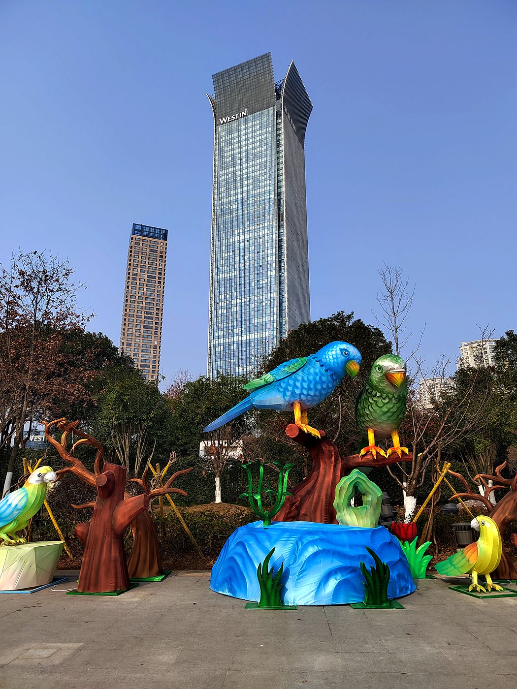 温州南塘彩灯迎春文化节(9)