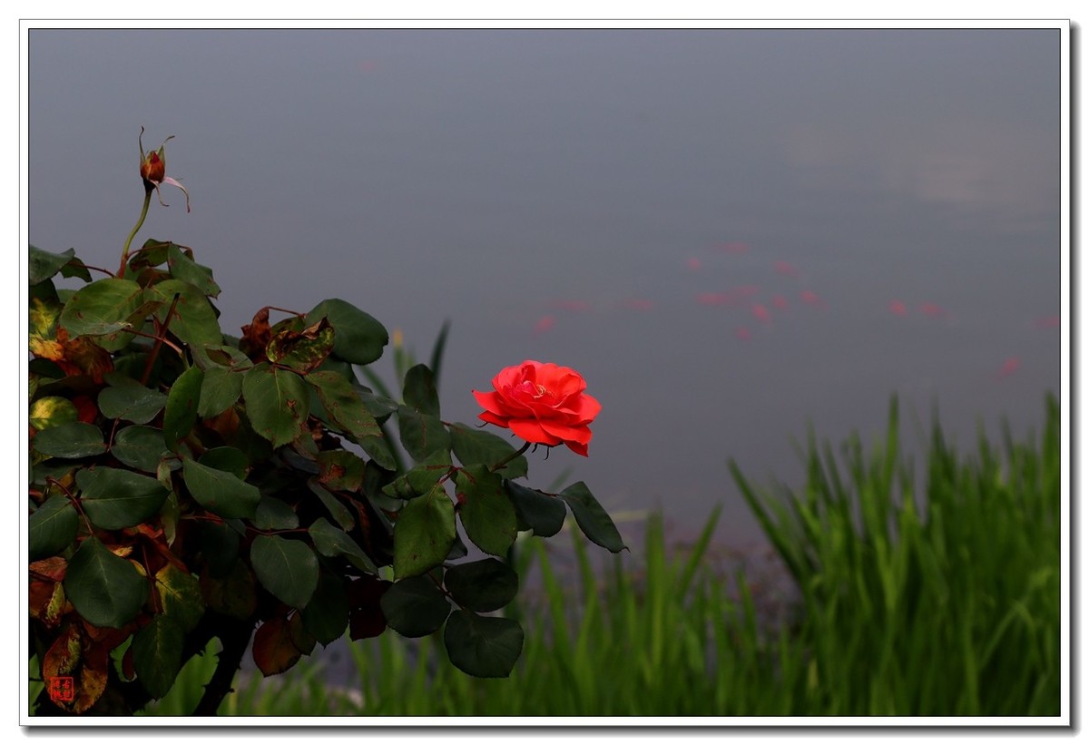 大足香国公园（昌州古城）（4）