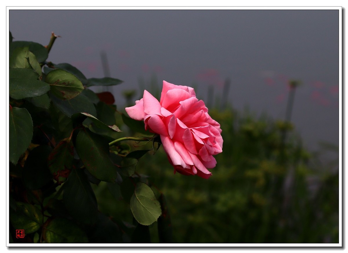 大足香国公园（昌州古城）（4）