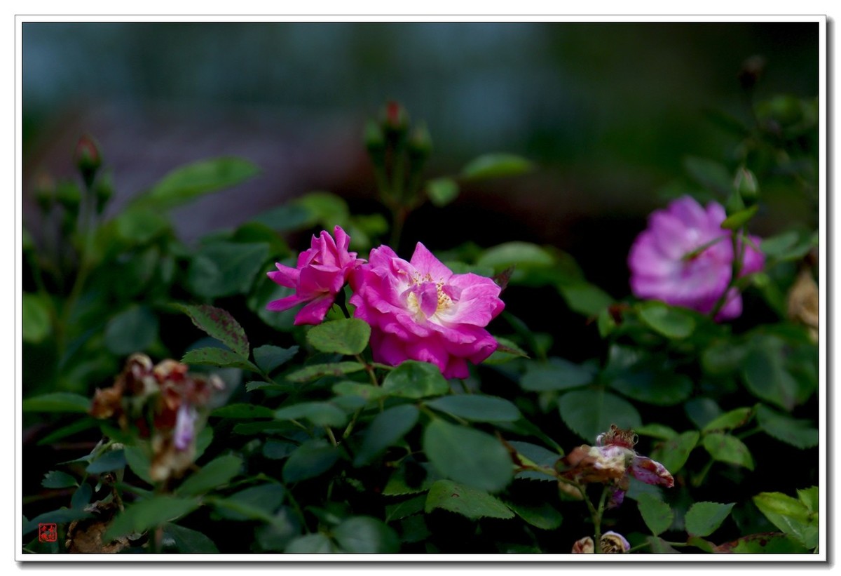 大足香国公园（昌州古城）（4）