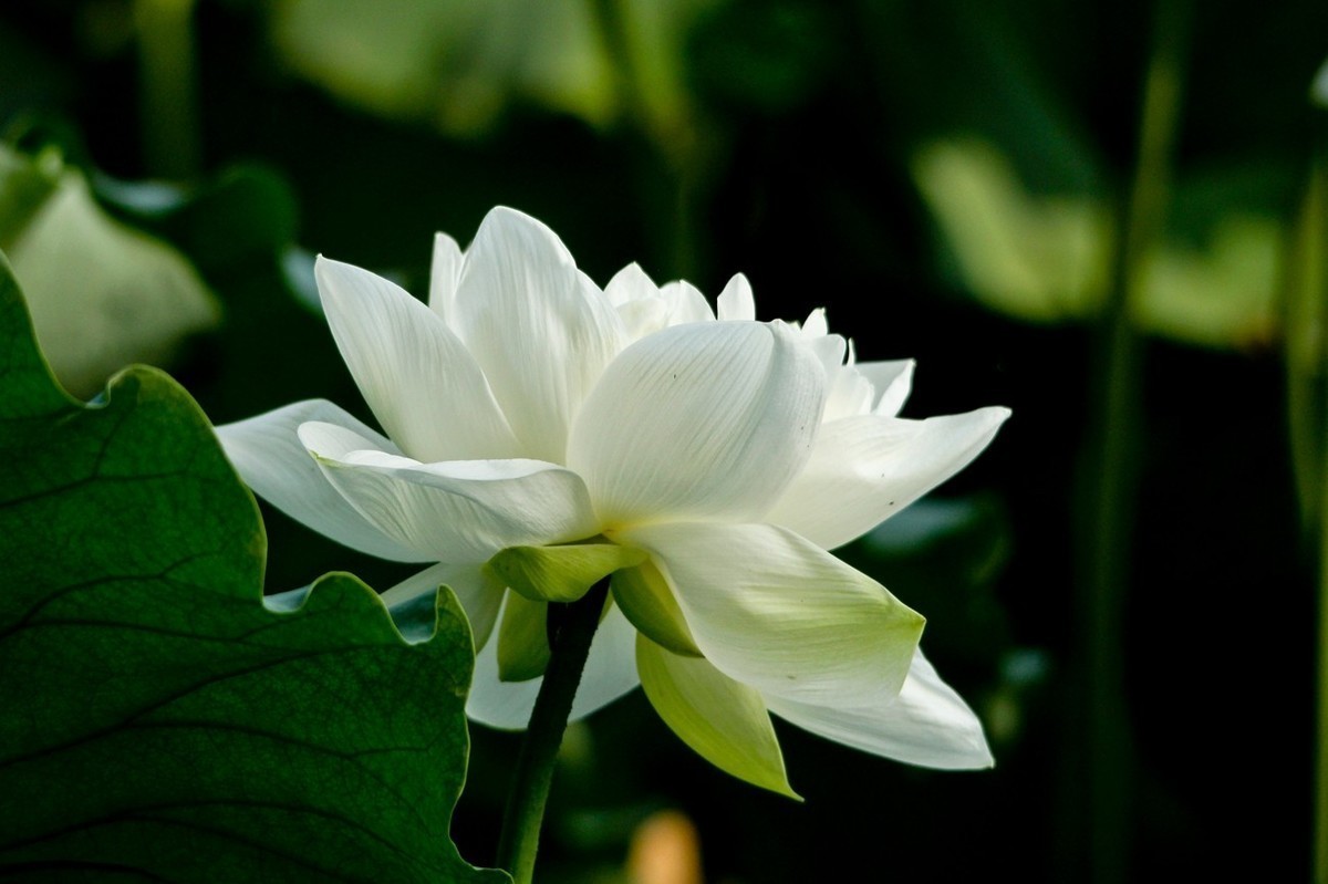 小五星空(中国)八月精华荟萃