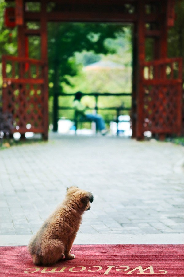 佛坪休闲游（请假）