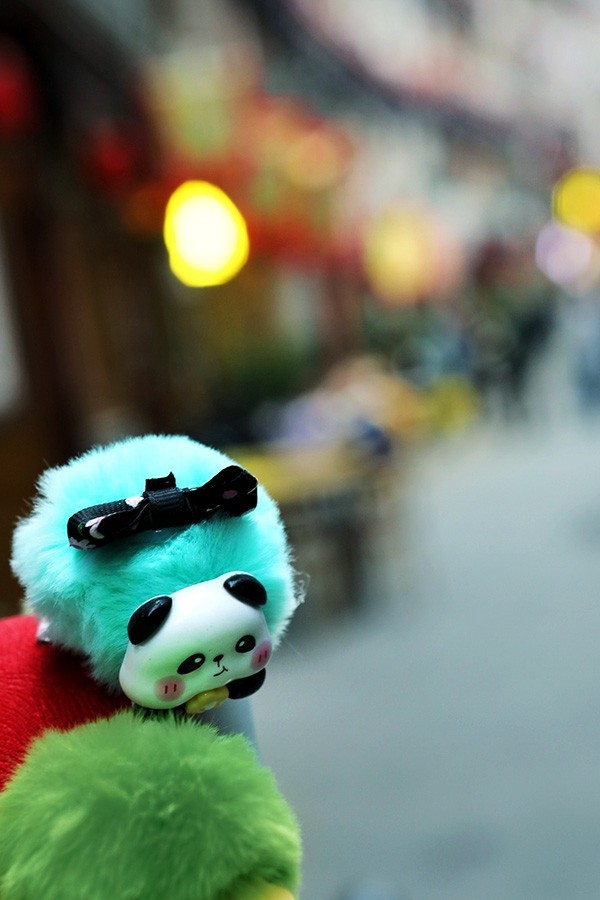 佛坪休闲游（请假）