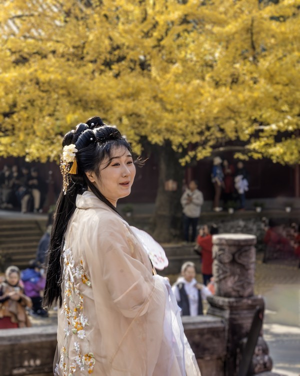 罨画池里银杏叶黄