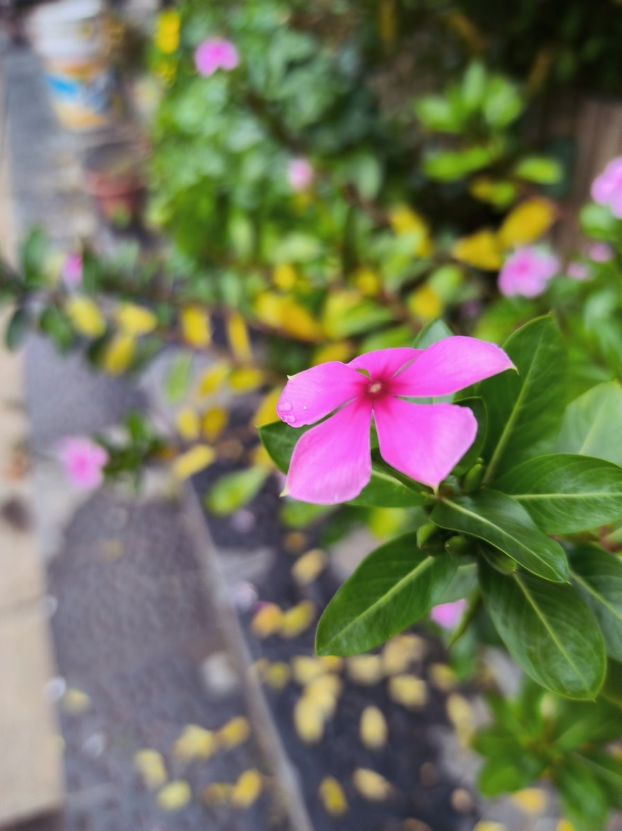 漫步星城 走街串巷（536）人间烟火  醉爱醴陵