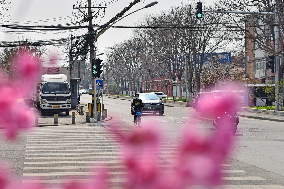春花处处在开放二