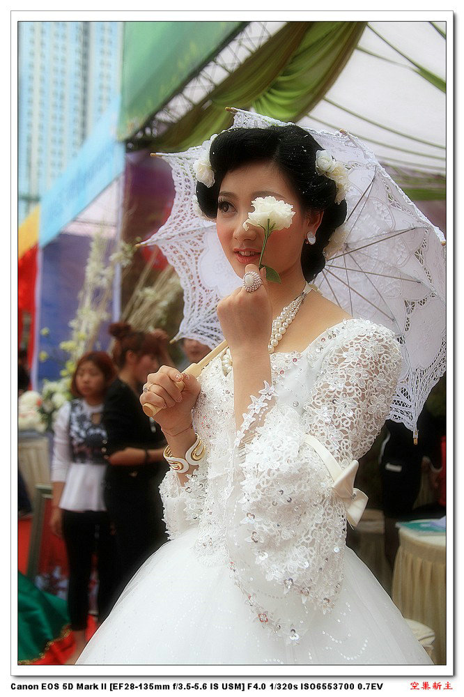 婚   纱