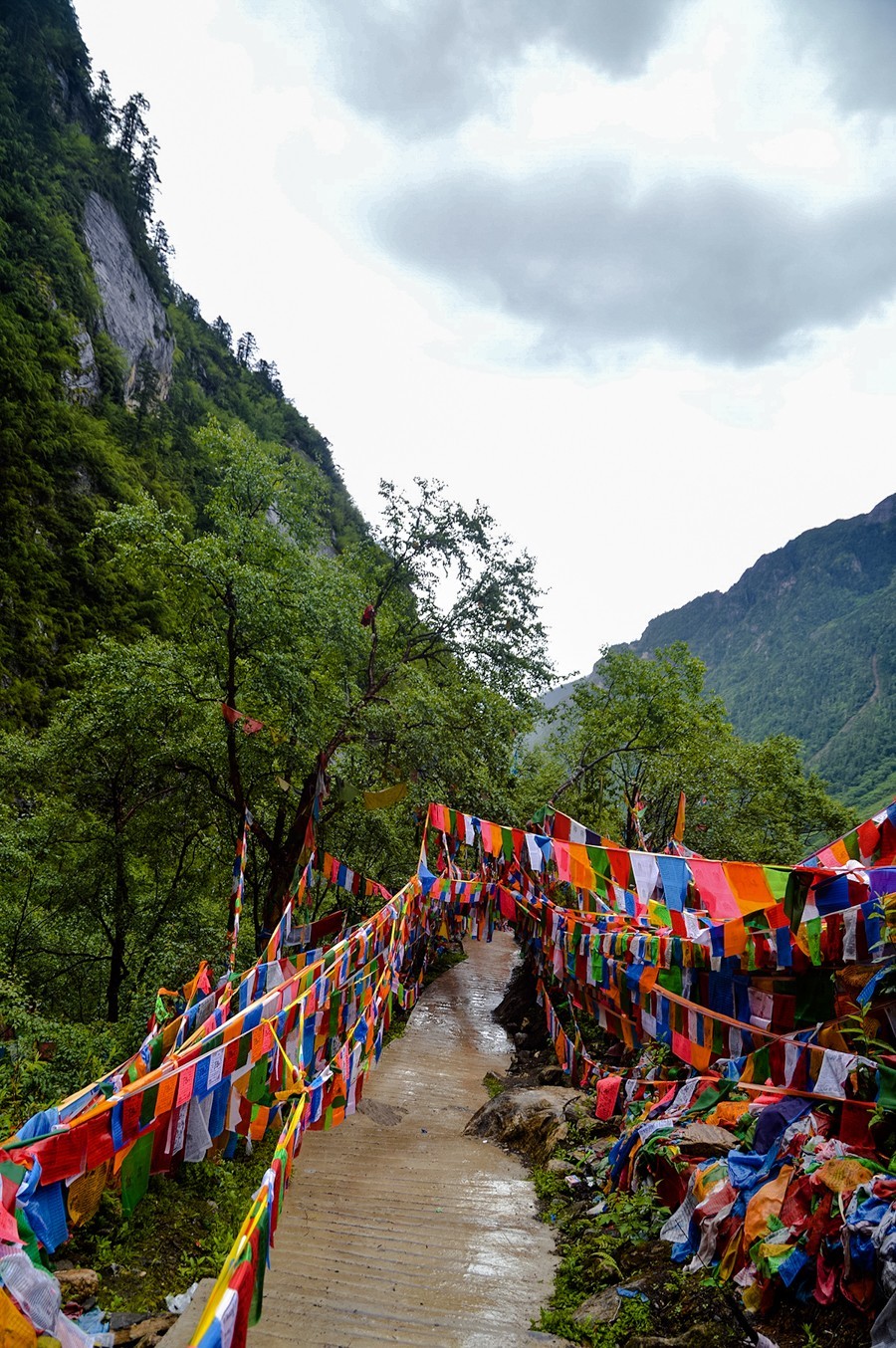 2023年-云南行风光纪实拍-811