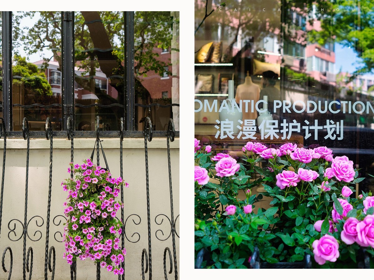 【菜々手摄影】魔都扫街