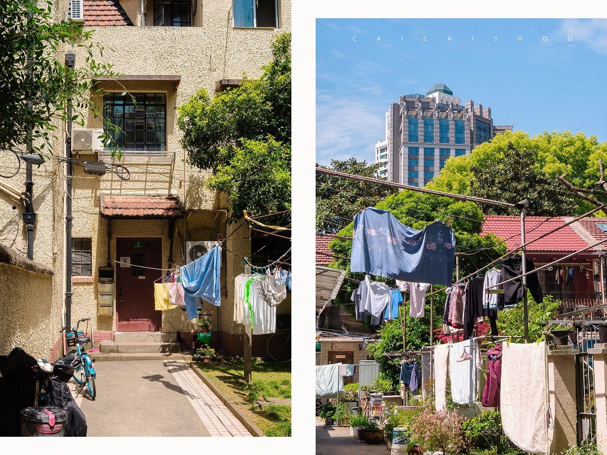 【菜々手摄影】魔都扫街