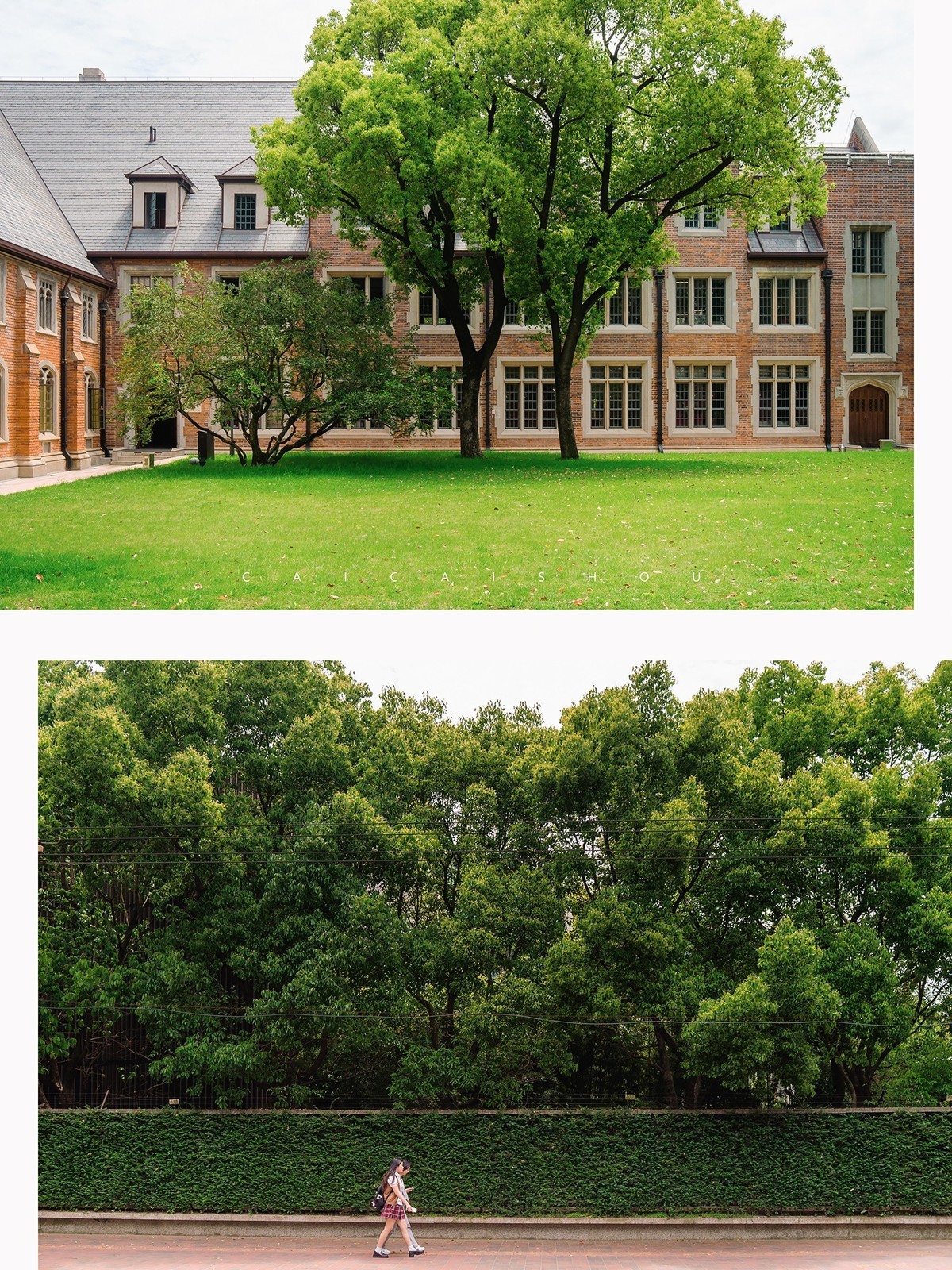 【菜々手摄影】魔都扫街