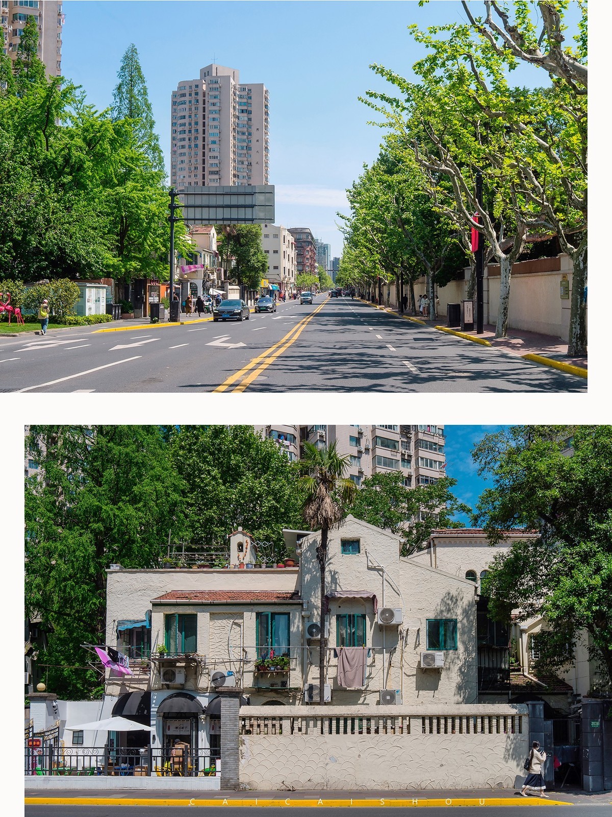 【菜々手摄影】魔都扫街