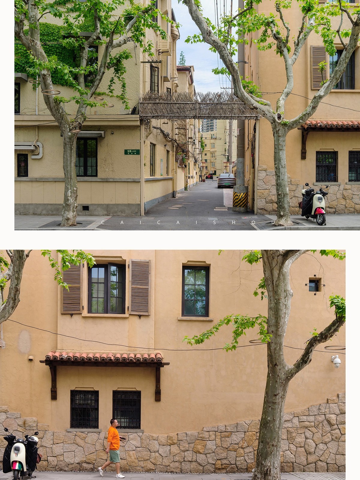 【菜々手摄影】魔都扫街