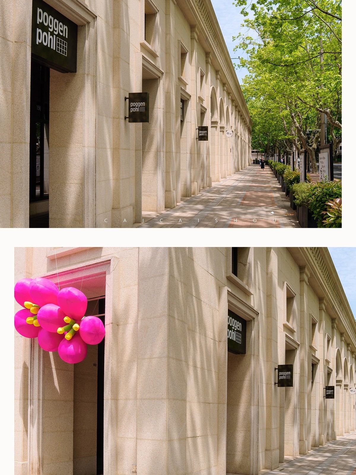 【菜々手摄影】魔都扫街