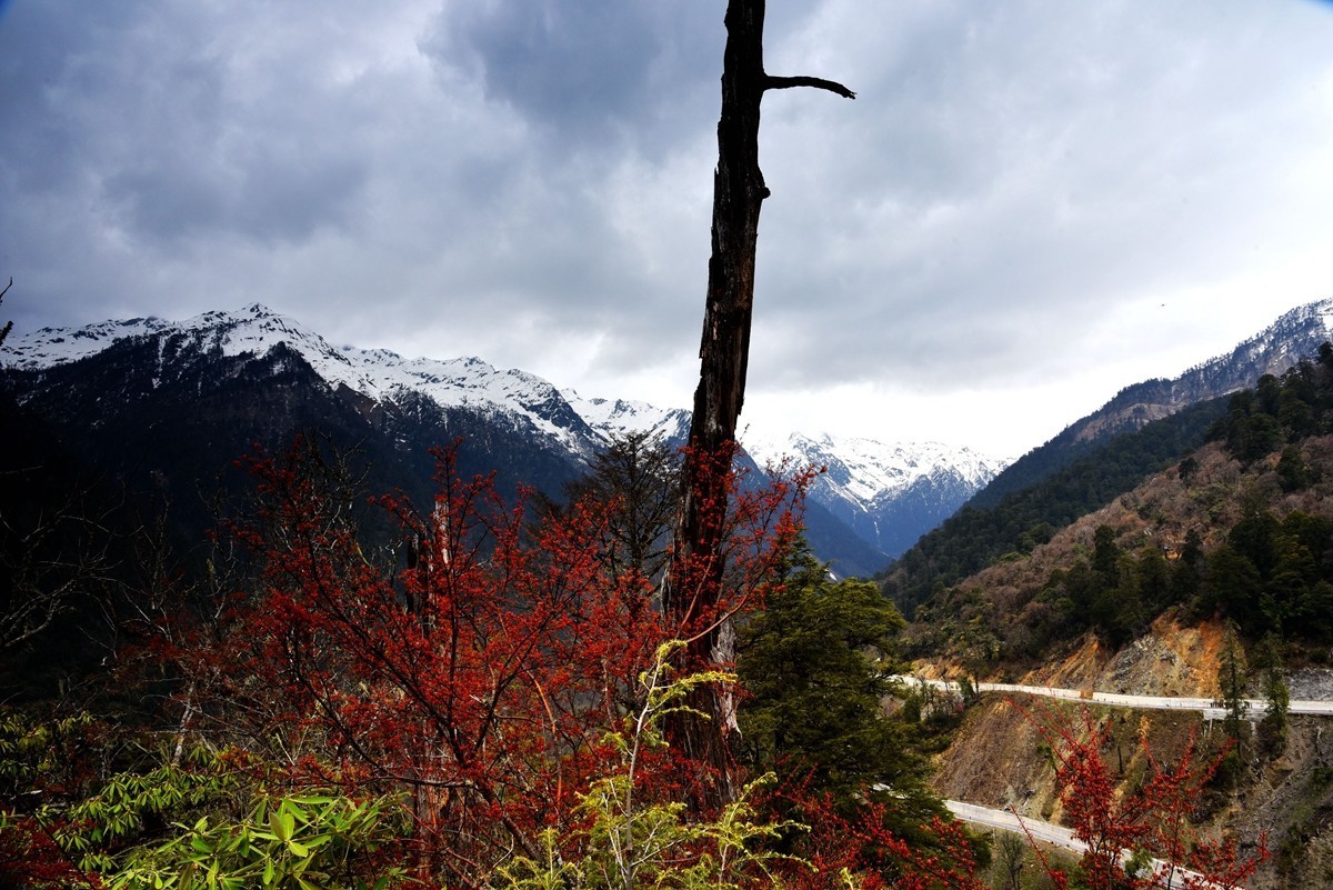 德贡线【贡山至德钦】沿途风光【4】
