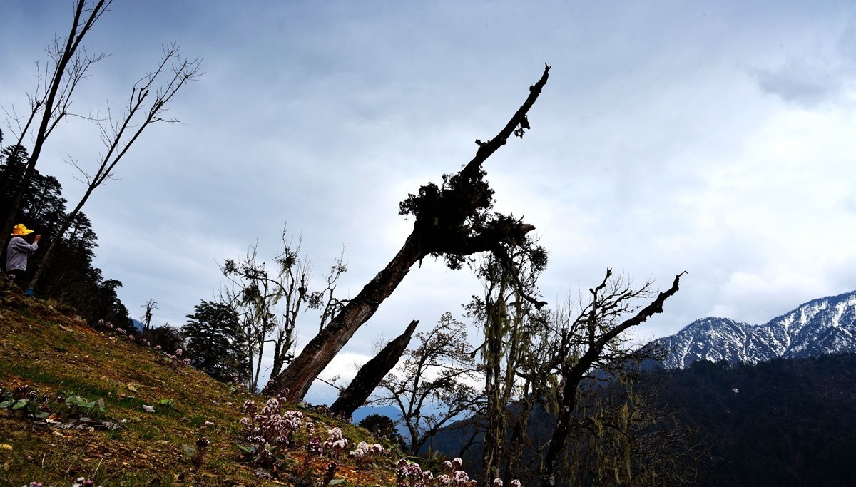 德贡线【贡山至德钦】沿途风光【4】