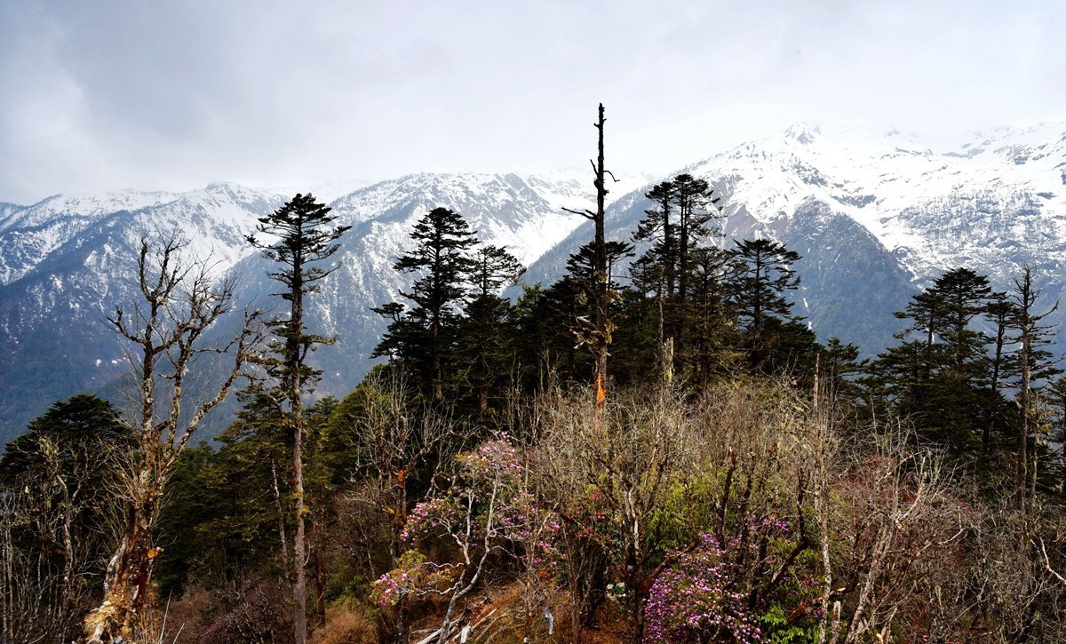 德贡线【贡山至德钦】沿途风光【4】
