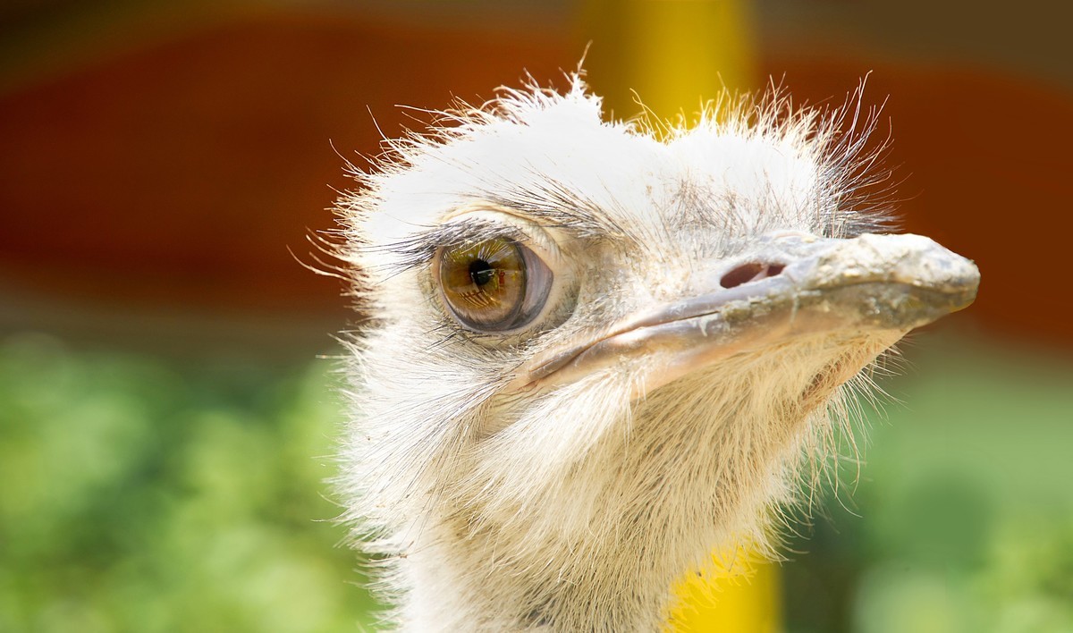 贵州黔北花海公园