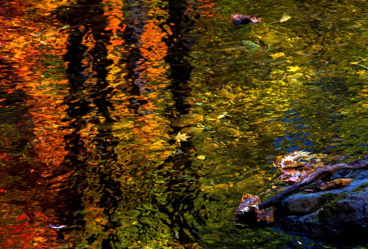 外出随拍（续247）.