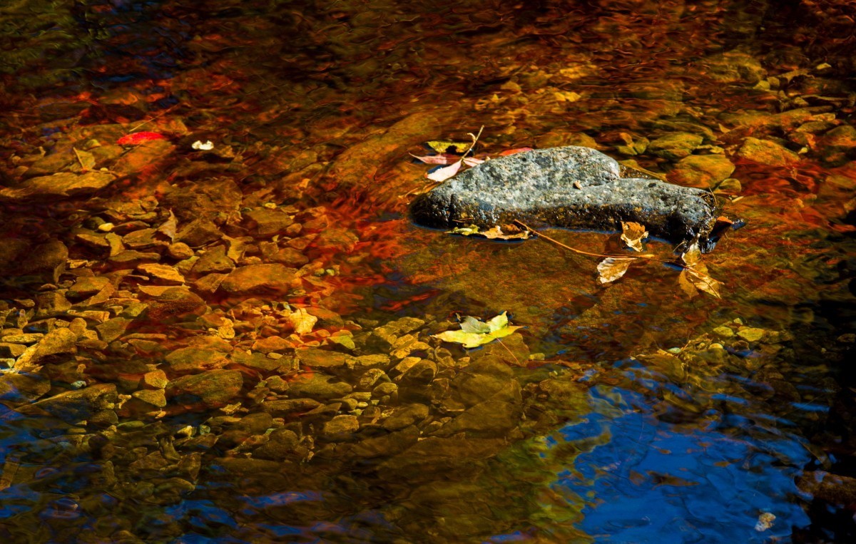 外出随拍（续247）.