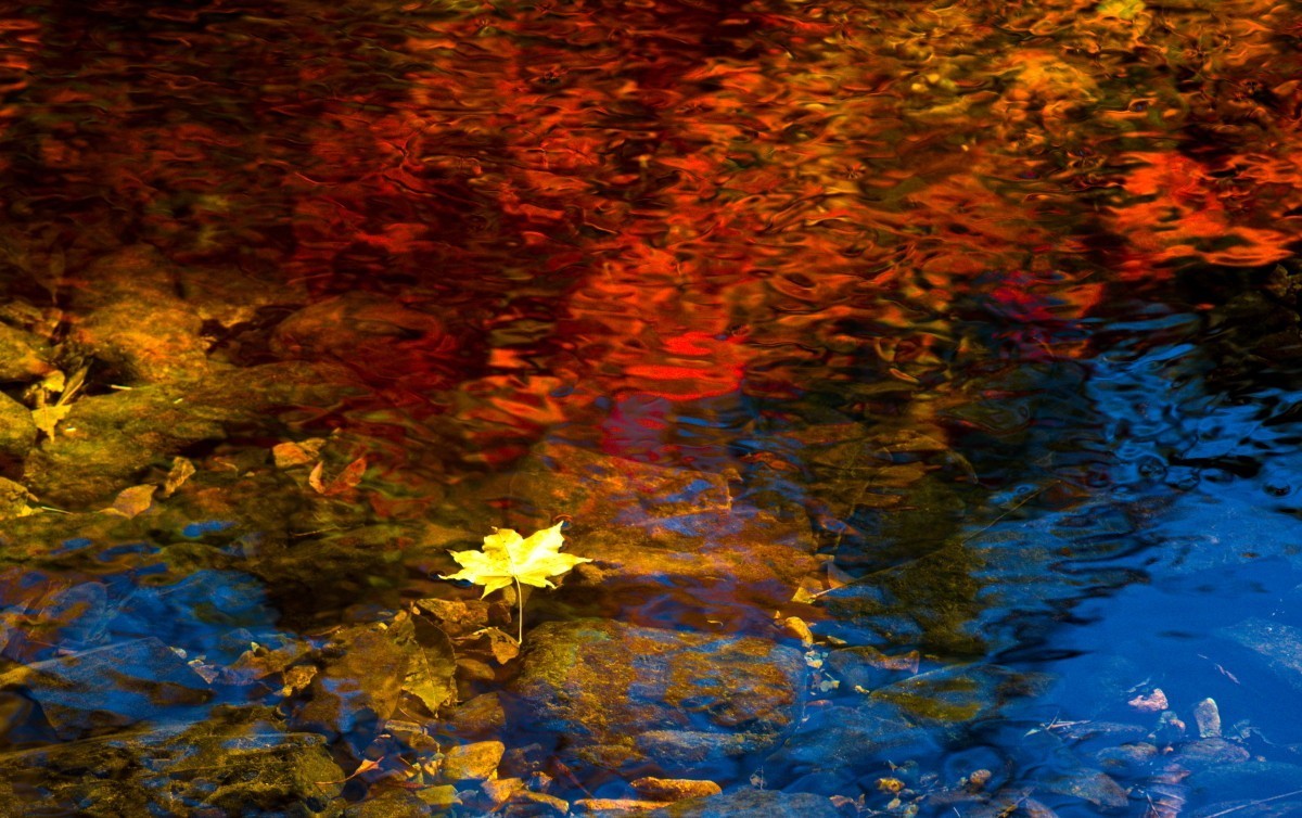 外出随拍（续247）.