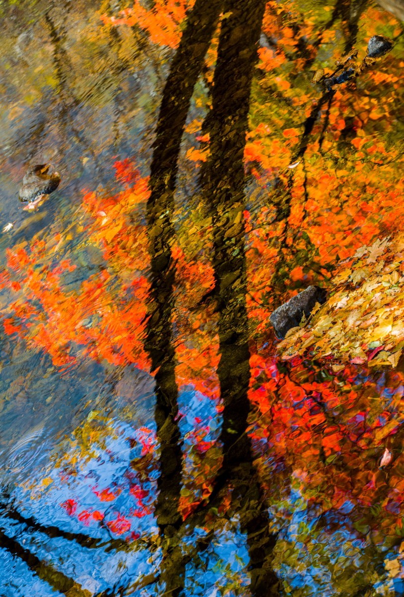 外出随拍（续247）.