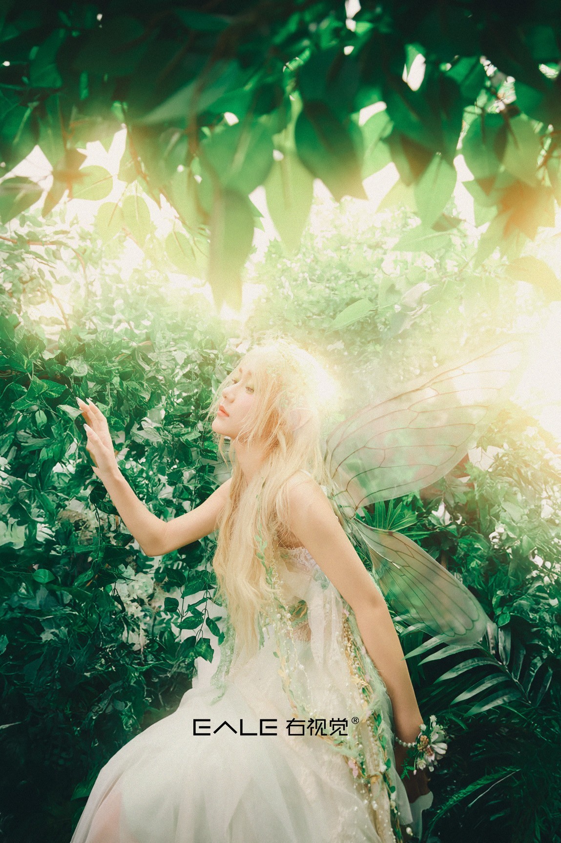 【右视觉摄影】森林春语：精灵的呢喃絮语