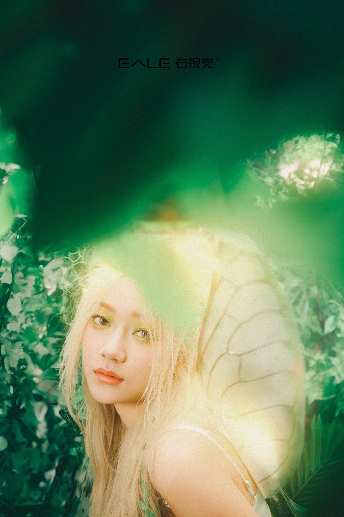 【右视觉摄影】森林春语：精灵的呢喃絮语