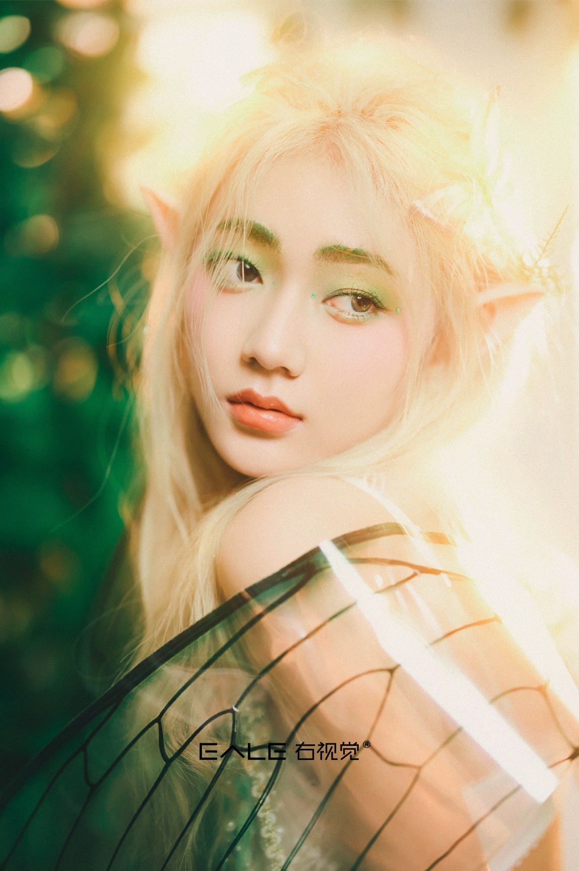 【右视觉摄影】森林春语：精灵的呢喃絮语