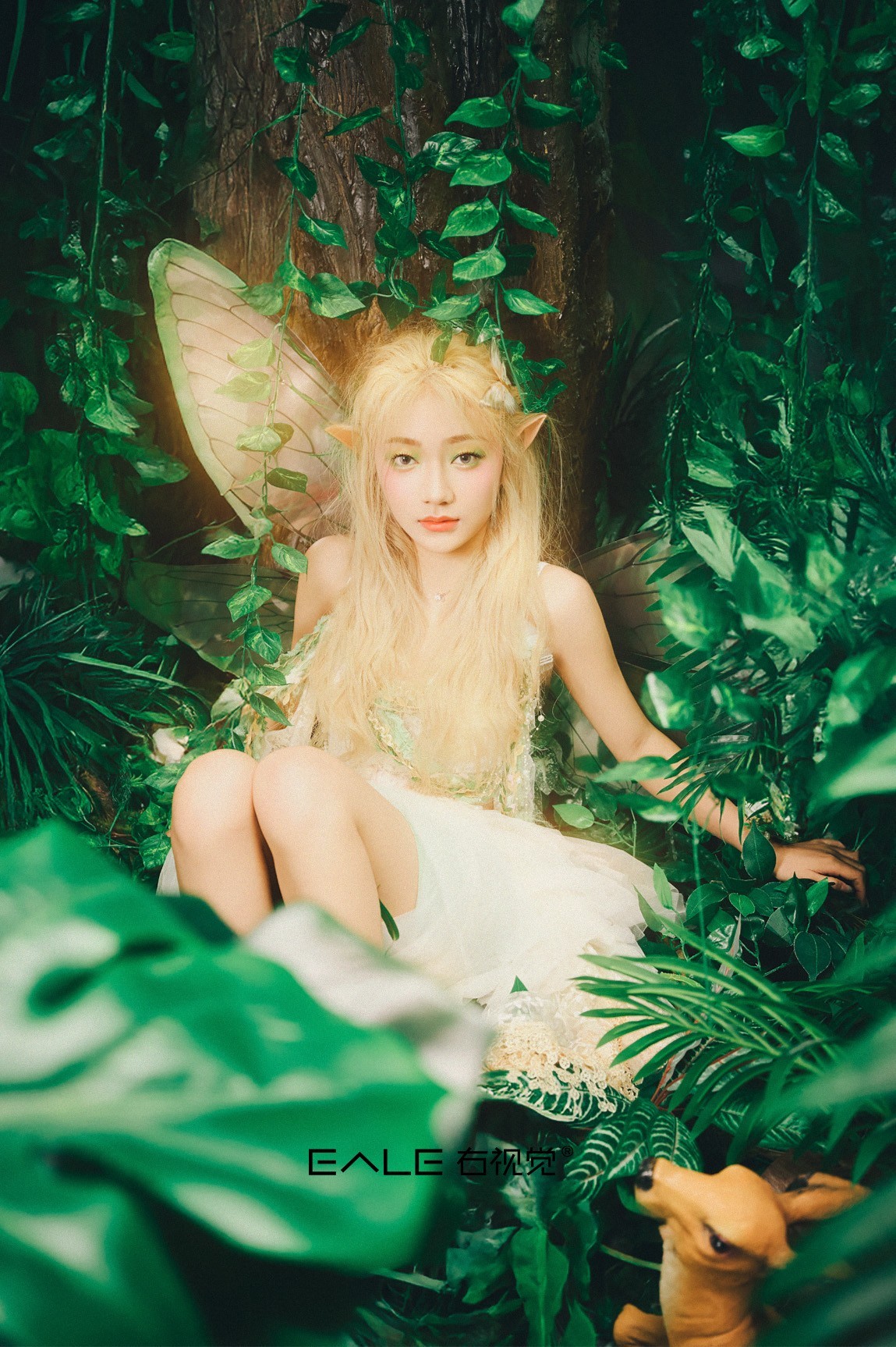 【右视觉摄影】森林春语：精灵的呢喃絮语