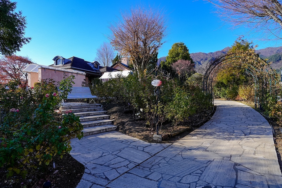 2025年第0383贴-河口湖音乐盒之森纪实拍（0605）