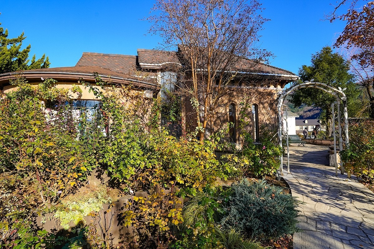 2025年第0383贴-河口湖音乐盒之森纪实拍（0605）