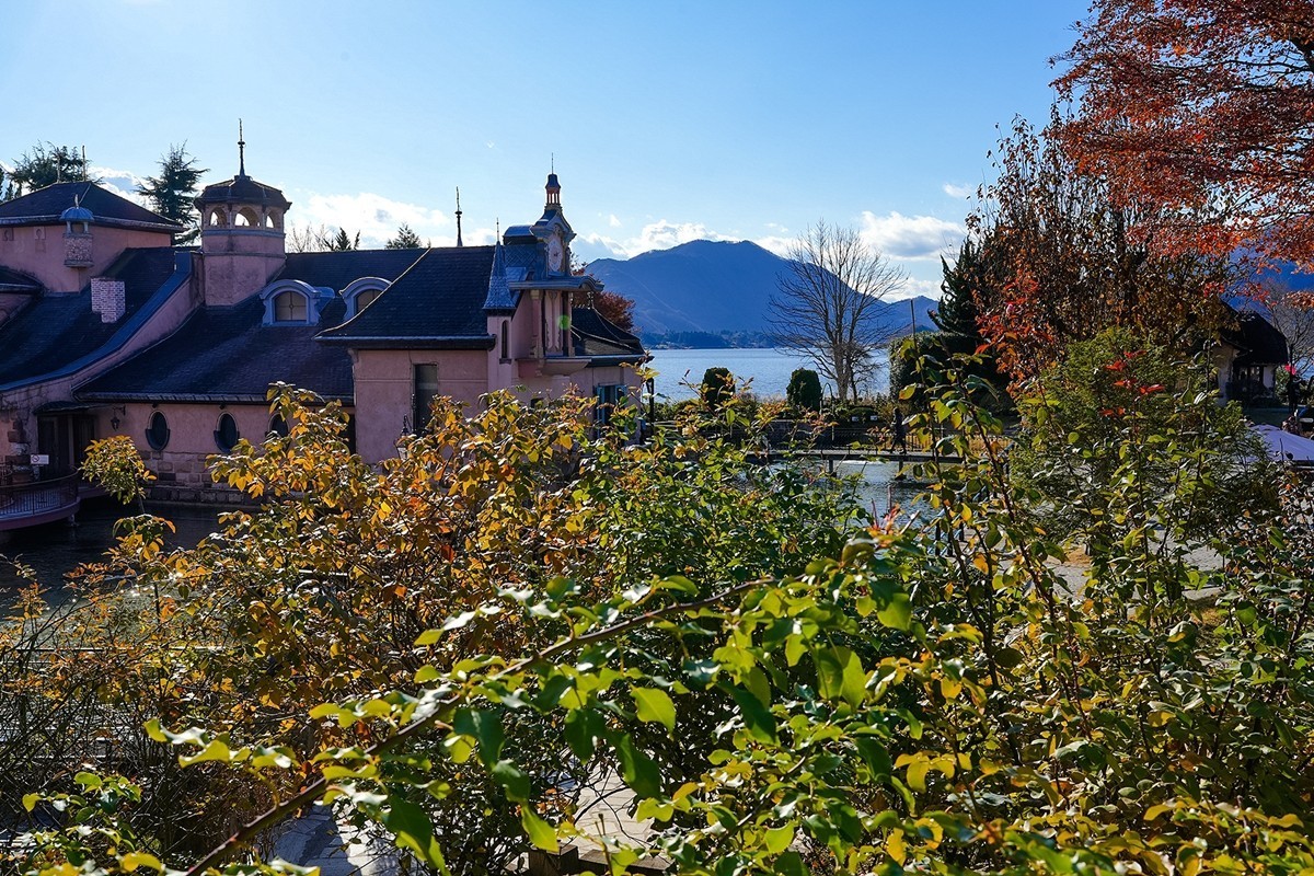 2025年第0384贴-河口湖音乐盒之森纪实拍（0605）