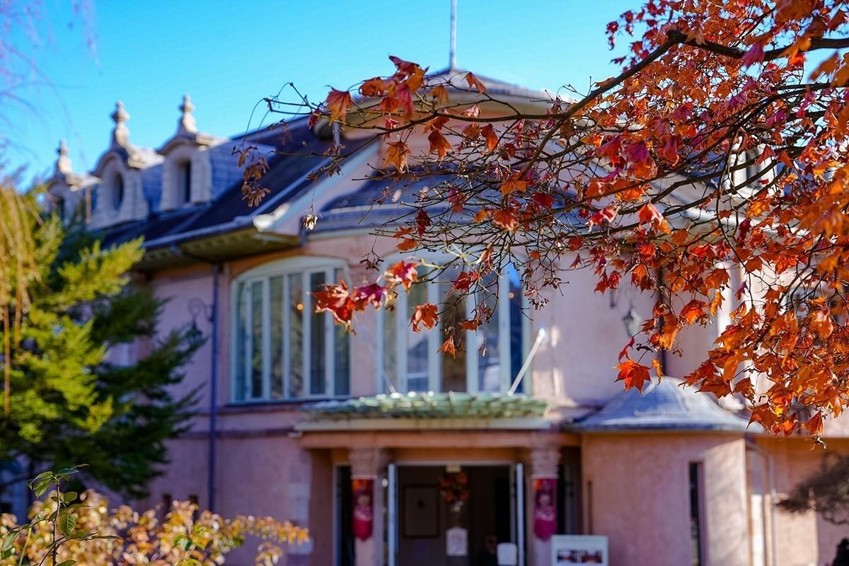 2025年第0384贴-河口湖音乐盒之森纪实拍（0605）