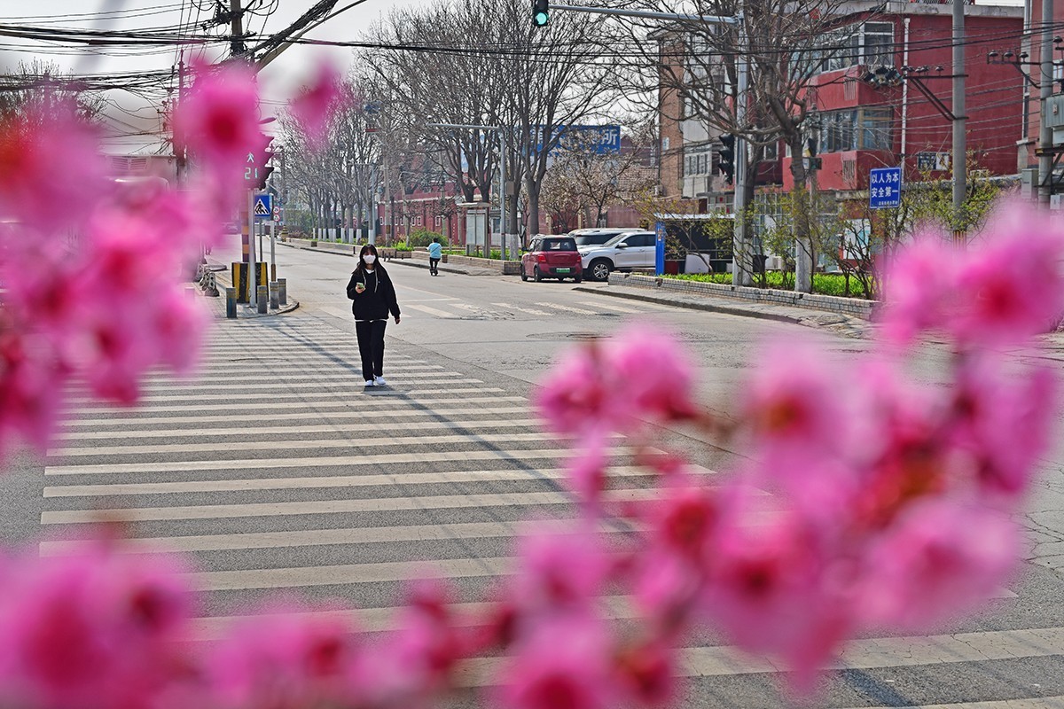 春花处处在开放二