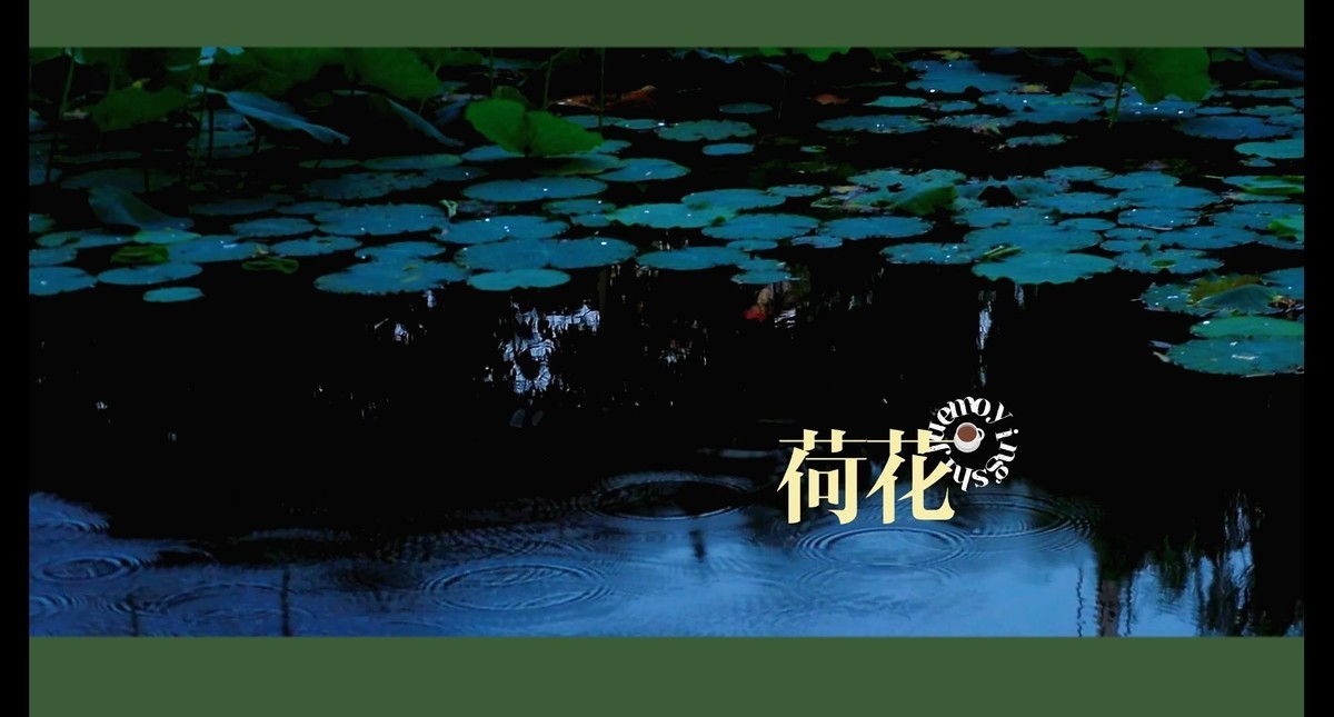 荷花视频截图