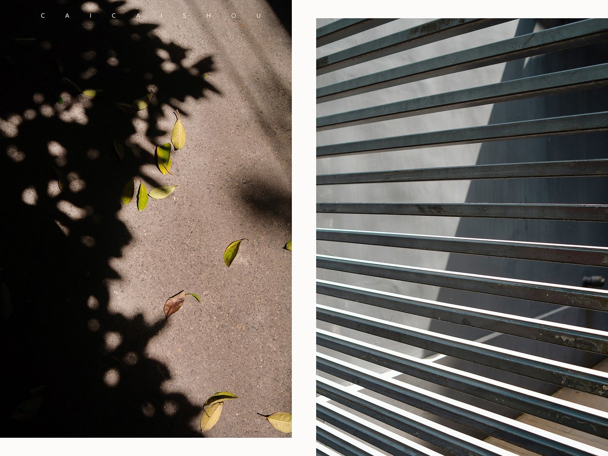 【菜々手摄影】魔都扫街