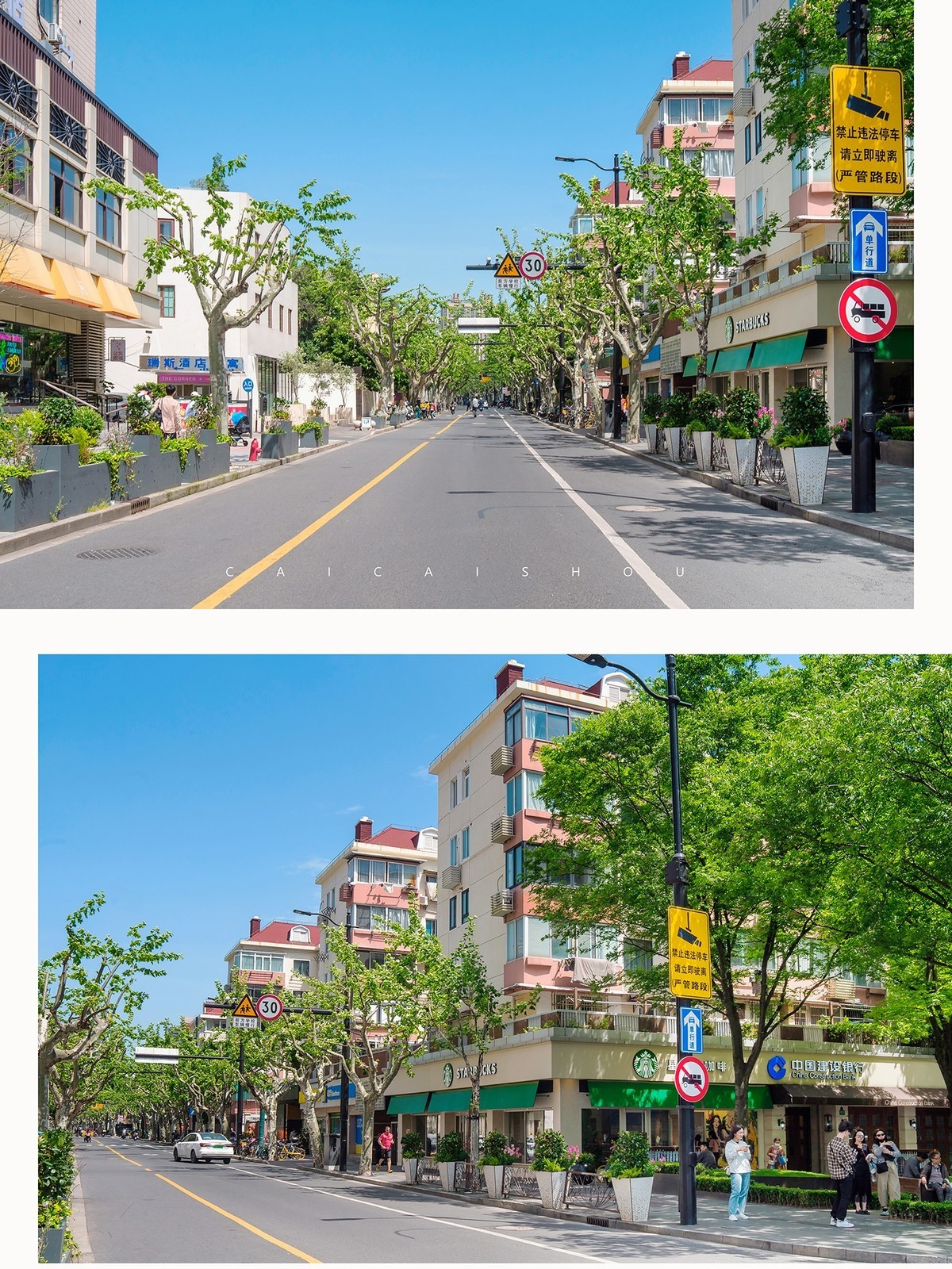 【菜々手摄影】魔都扫街