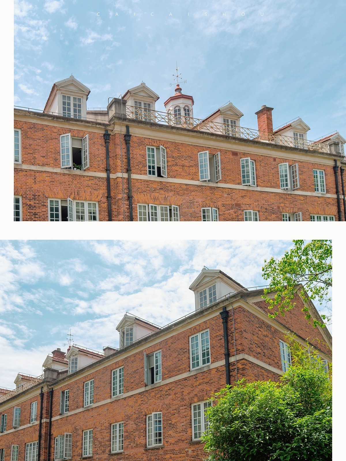 【菜々手摄影】魔都扫街