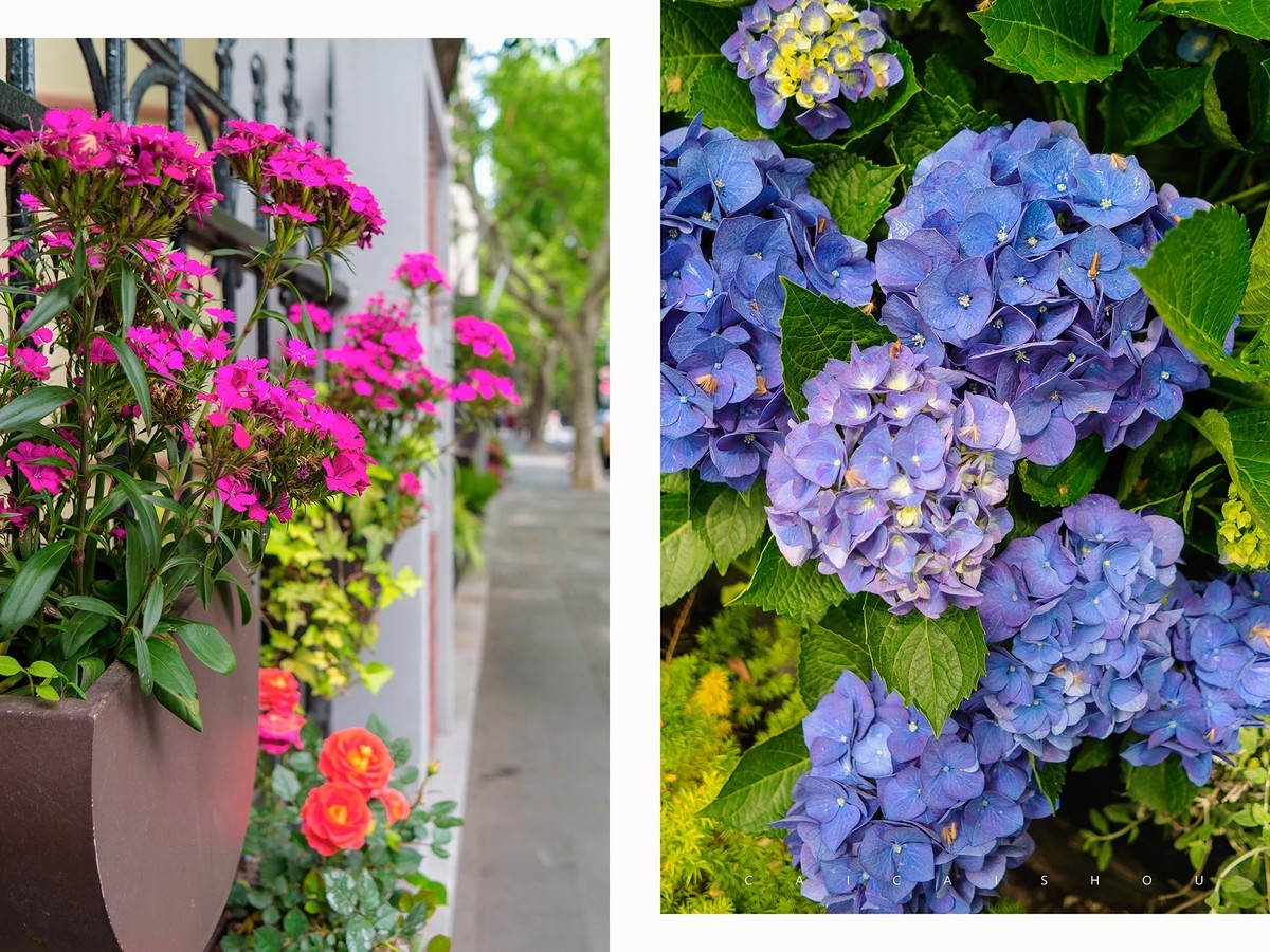 【菜々手摄影】魔都扫街