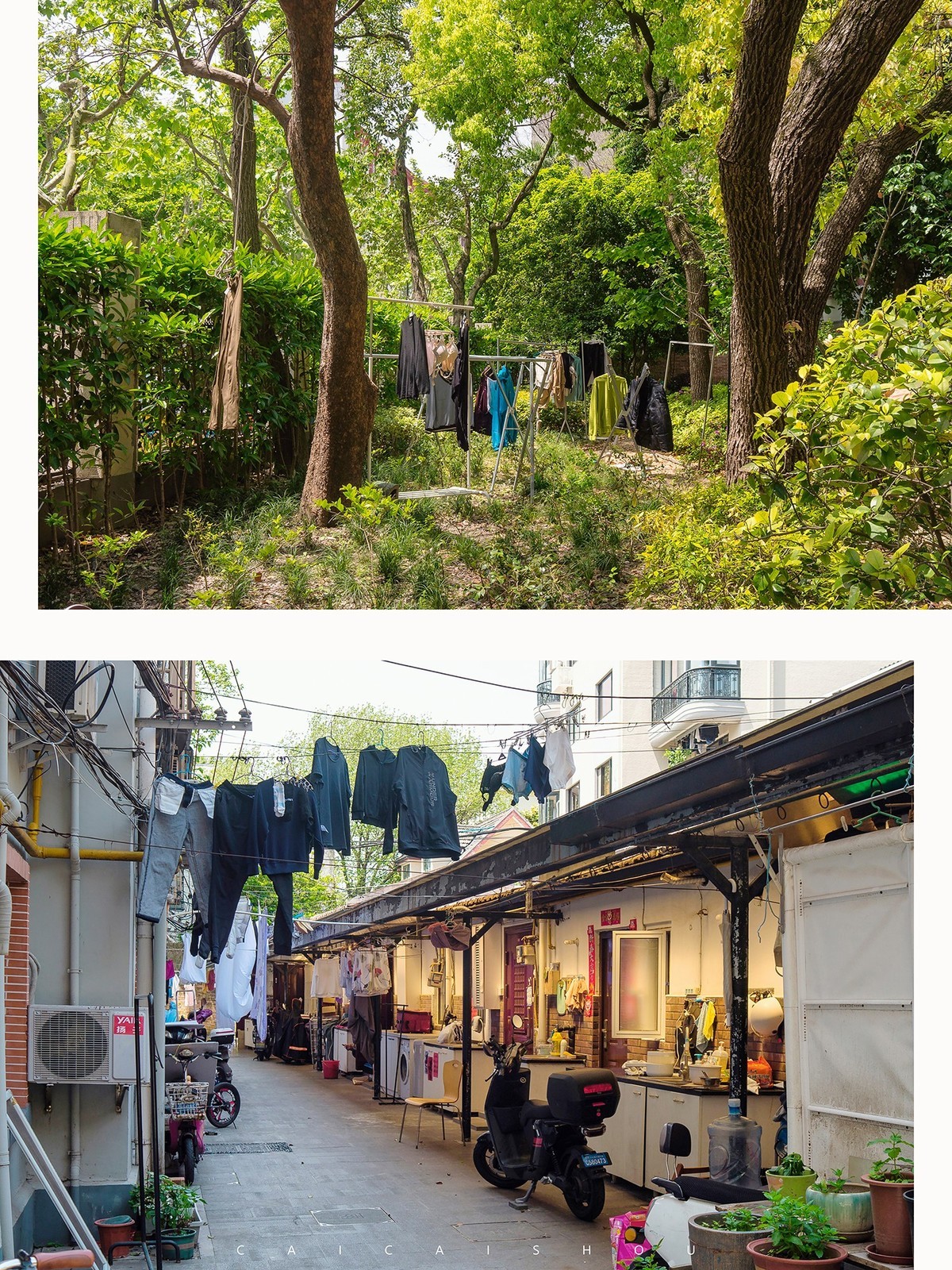 【菜々手摄影】魔都扫街