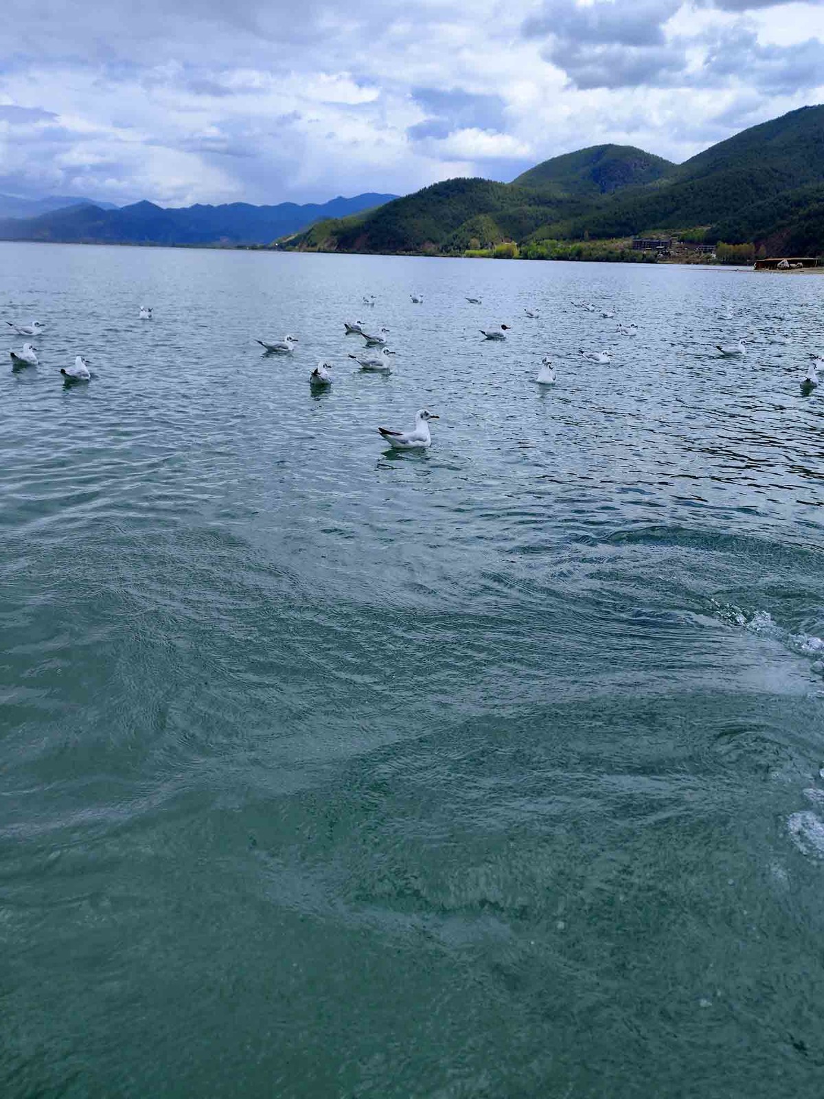 云南..............泸沽湖