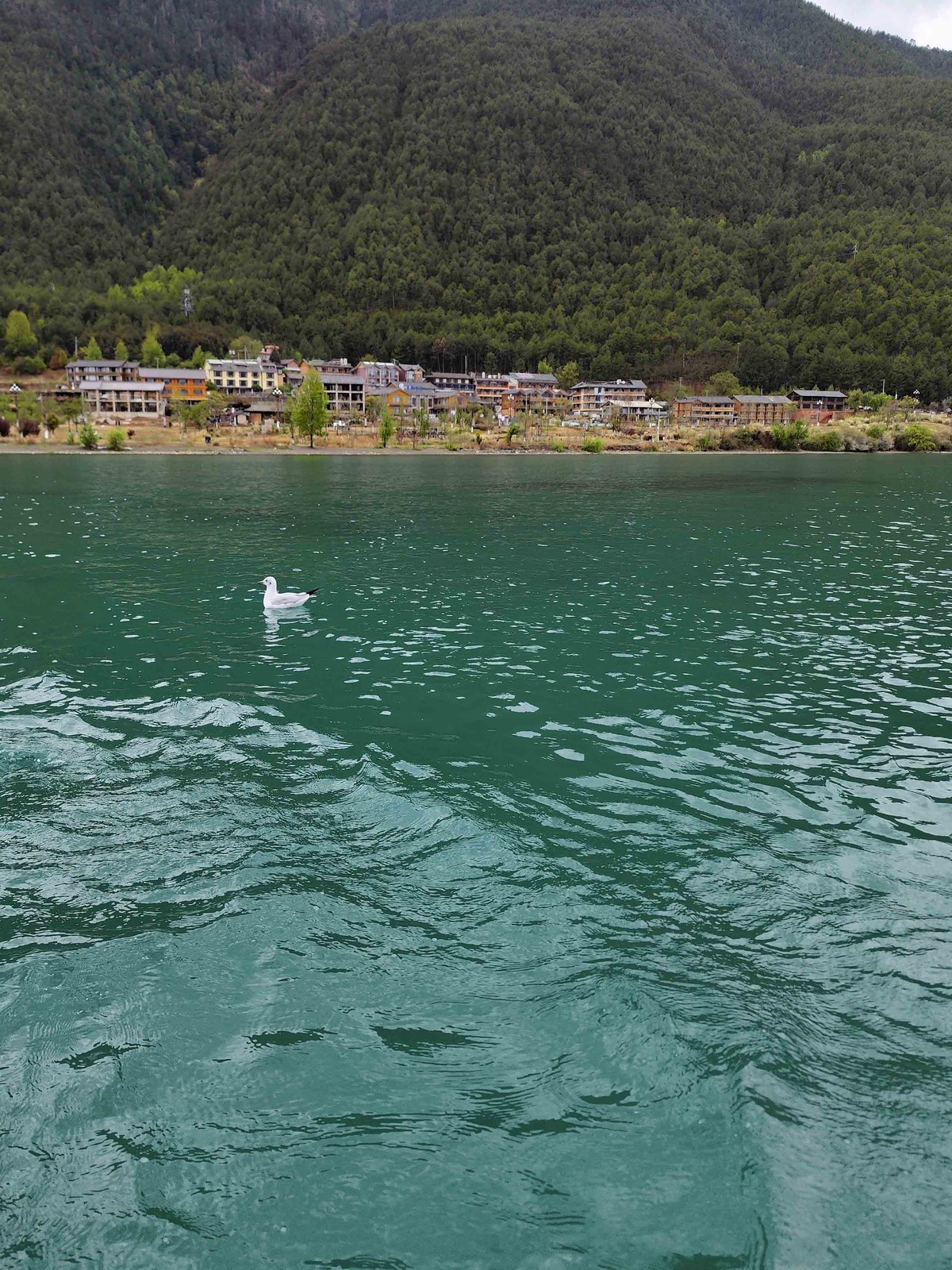 云南..............泸沽湖