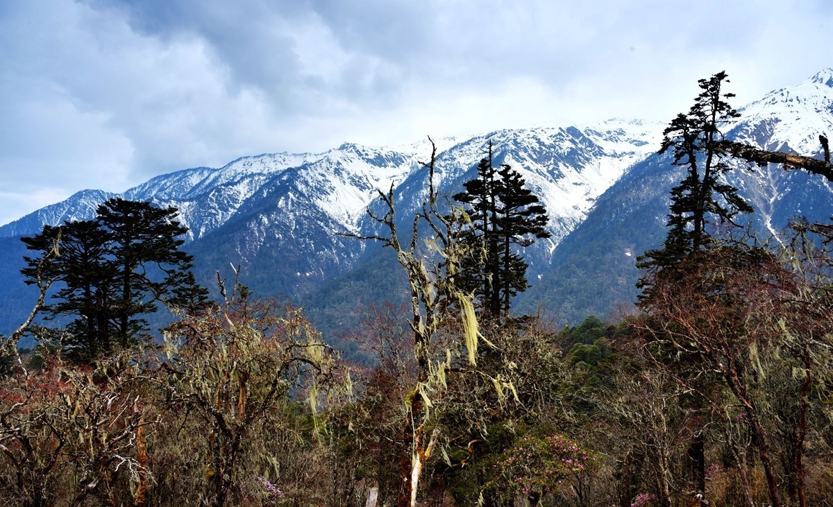 德贡线【贡山至德钦】沿途风光【4】